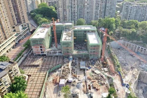 沙坪坝最新爆料,揭秘神秘项目背后的故事